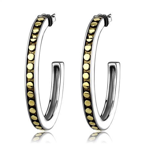 JCE2891 Two-Tone IP Gold (Ion Plating) Stainless Steel Earrings with Epoxy in Jet